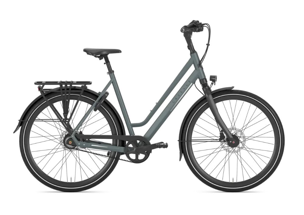 Produktfoto - Gazelle Chamonix S8